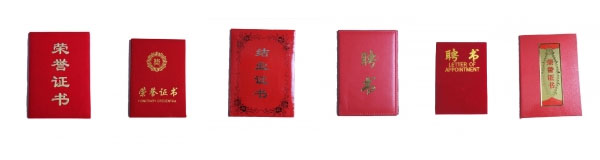 &#80;&#84;&#30495;&#20154;&#65288;&#20013;&#22269;&#65289;&#23448;&#26041;&#32593;&#31449;