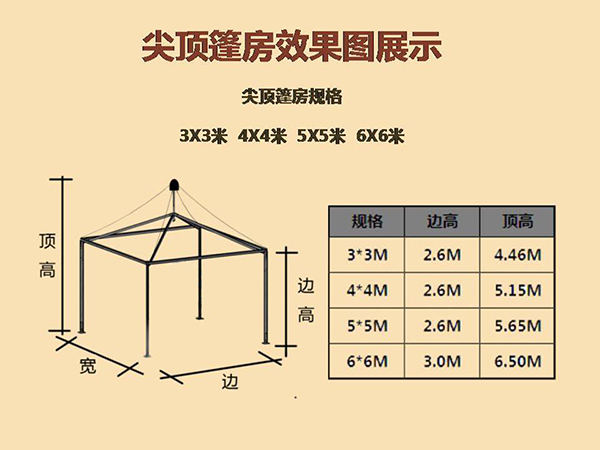 &#80;&#84;&#30495;&#20154;&#65288;&#20013;&#22269;&#65289;&#23448;&#26041;&#32593;&#31449;